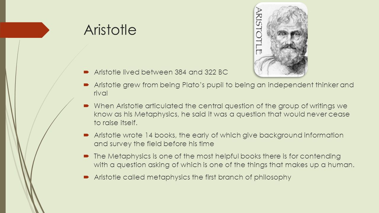 Aristotle and his refutation of platos theory of ideas